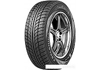 Автомобильные шины Белшина Artmotion Snow Бел-317 205/55R16 91T