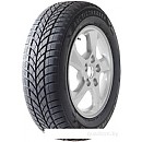 Автомобильные шины Maxxis WP-05 Arctictrekker 165/70R14 85T