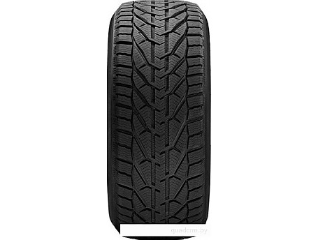 Taurus Winter 205/55R16 94H