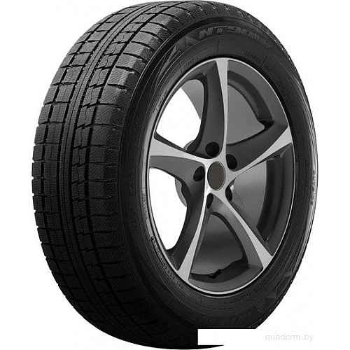 Автомобильные шины Nitto NT90W 255/50R19 107Q купить в Минске