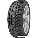 Автомобильные шины Delinte Winter WD6 205/55R17 95H