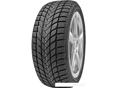 Delinte Winter WD6 205/55R17 95H