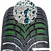 Nokian Tyres WR SUV 4 225/60R17 103H