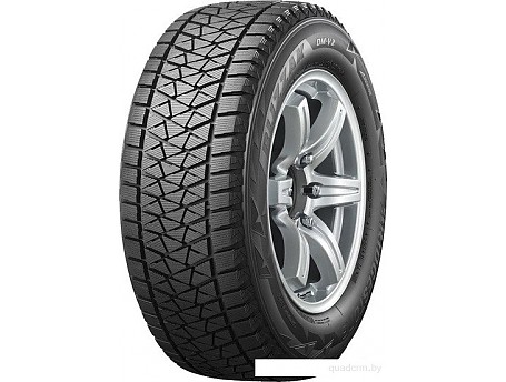 Bridgestone Blizzak DM-V2 225/55R19 99T