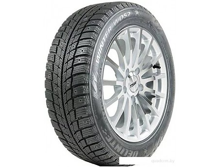 Delinte Winter WD52 265/70R16 112T