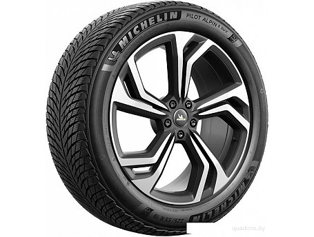 Michelin Pilot Alpin 5 SUV 255/45R21 106V