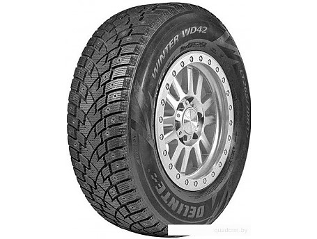 Delinte Winter WD42 245/45R20 103H